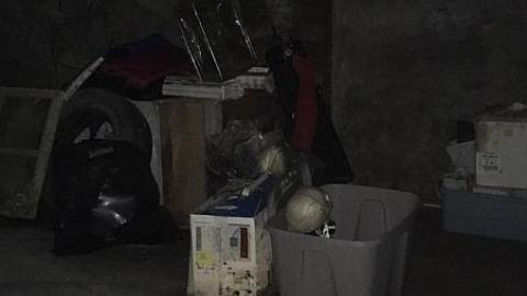 Blistered Wallpaper - euimage.jpeg