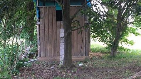 Broken Glass & Treehouse photo 4