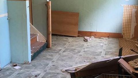 Broken Glass - Broken-Glass--Treehouse7.jpeg