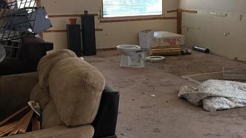 Broken Glass - Broken-Glass--Treehouse3.jpeg