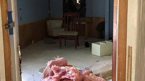 Broken Glass - Broken-Glass--Treehouse8.jpeg