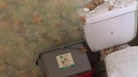 Broken Glass - Broken-Glass--Treehouse9.jpeg