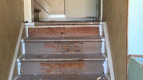 Broken Glass - Broken-Glass--Treehouse12.jpeg