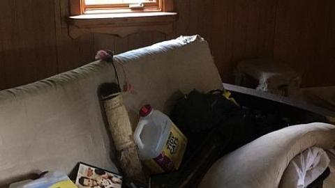 Broken Glass & Treehouse photo 5