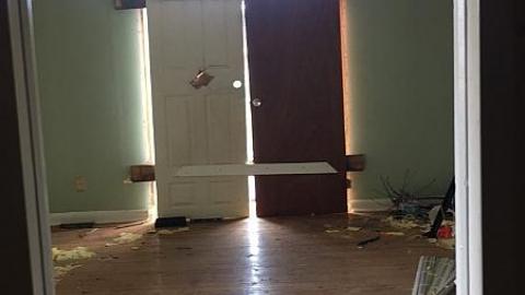 Broken Glass & Treehouse photo 3