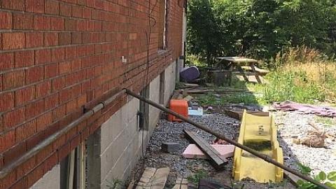 Steamy Summer Day - Ricks-Chicks13.jpeg