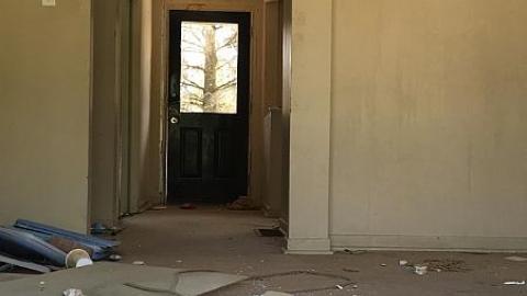 Steamy Summer Day - Ricks-Chicks15.jpeg