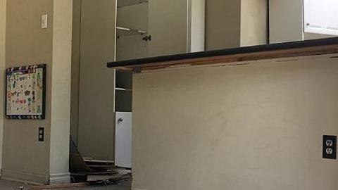 Steamy Summer Day - Ricks-Chicks8.jpeg