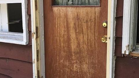 Steamy Summer Day - Ricks-Chicks16.jpeg