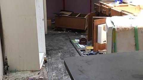 Steamy Summer Day - Ricks-Chicks9.jpeg