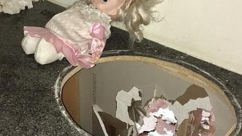 Steamy Summer Day - Ricks-Chicks10.jpeg