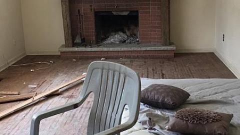 Steamy Summer Day - Ricks-Chicks11.jpeg