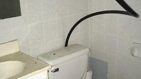 Steamy Summer Day - Ricks-Chicks19.jpeg