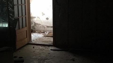 Steamy Summer Day - Ricks-Chicks12.jpeg