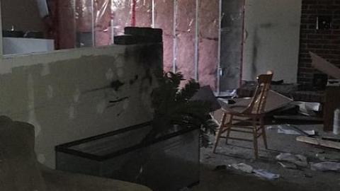 Steamy Summer Day - Ricks-Chicks3.jpeg