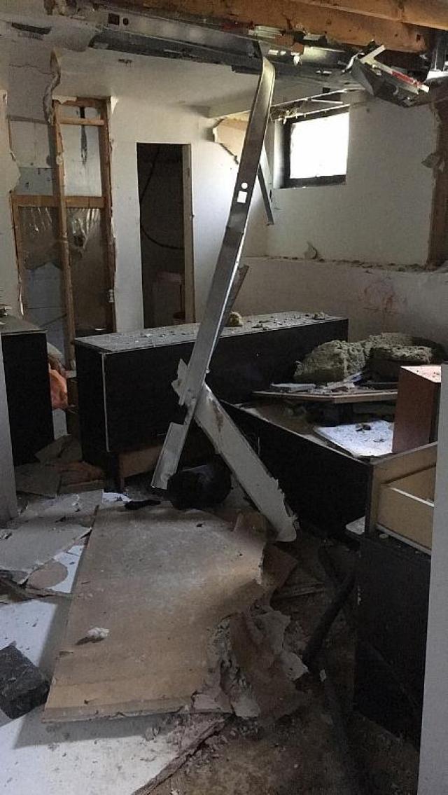 Rick's Chicks photo 3