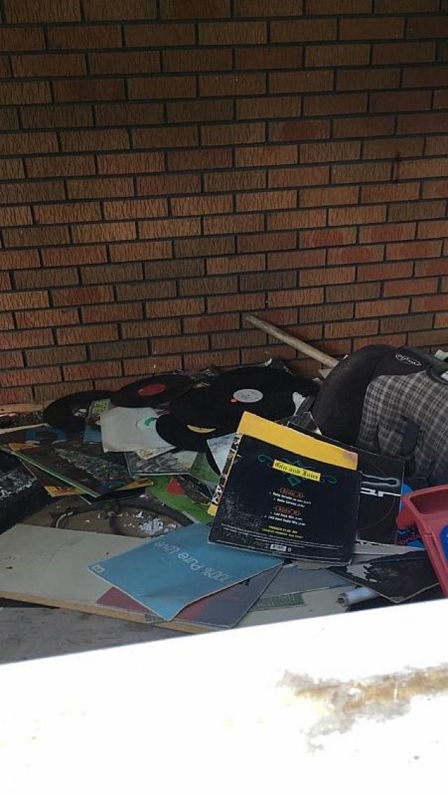 Rick's Chicks photo 2