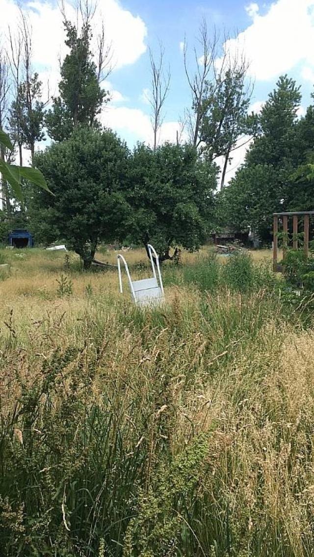 Rick's Chicks photo 4