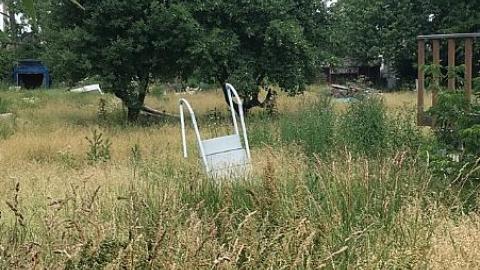 Photo from Steamy Summer Day