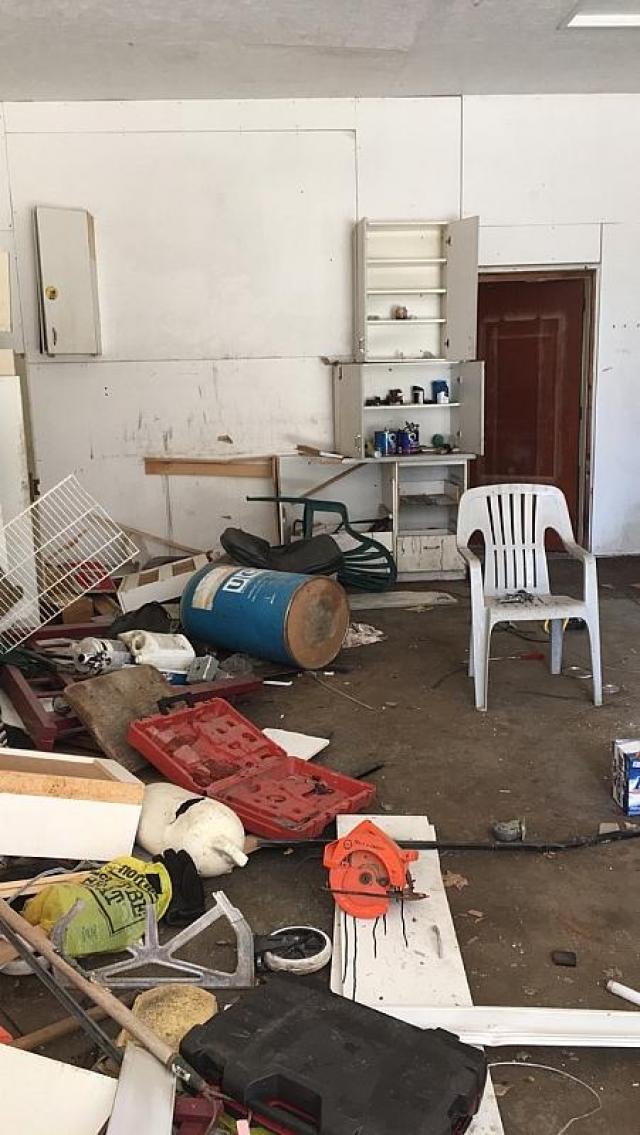 Rick's Chicks photo 5