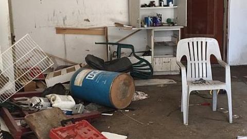 Steamy Summer Day - Ricks-Chicks2.jpeg