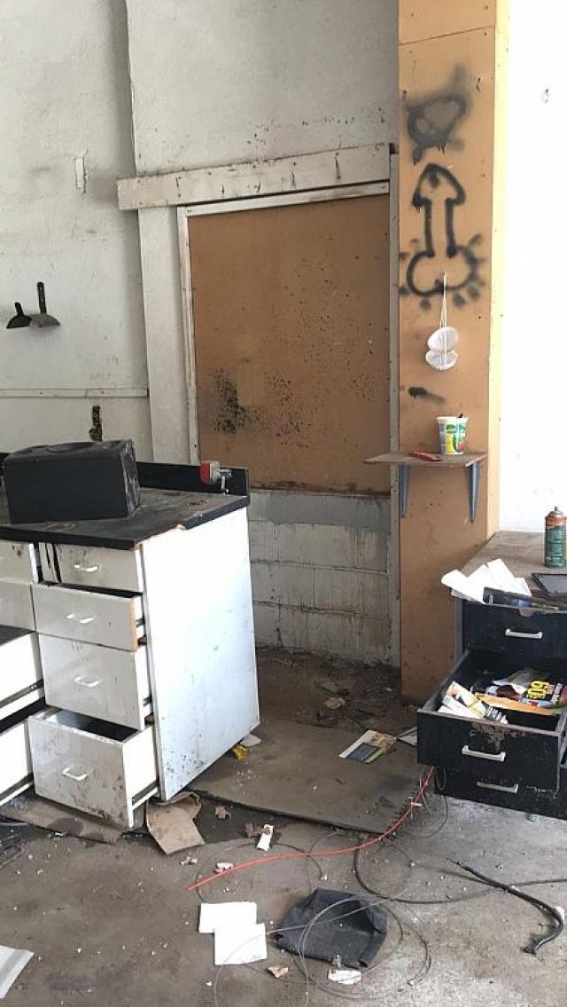 Rick's Chicks - Richmond Hill, Ontario