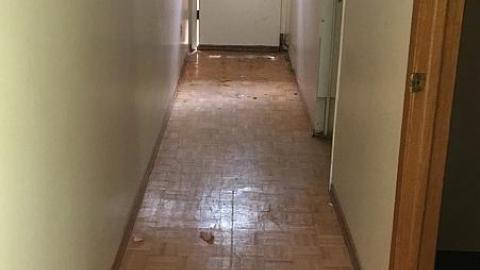 Gorgeous Decay - Doors-Wide-Open9.jpeg