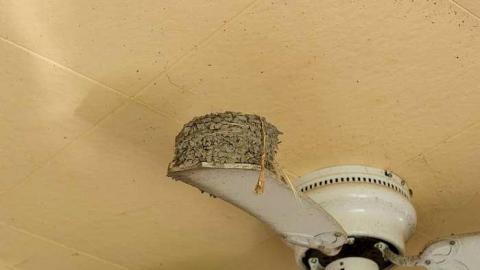 Colourful Cabinets photo 2