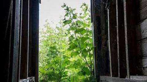 July 2016 Colourful Cabinets - Colourful-Cabinets4.jpg