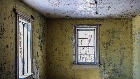 Photo from The neighborg