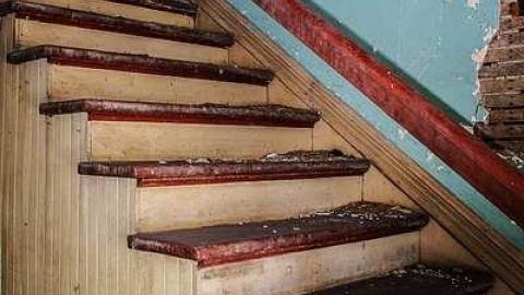 Photo from The neighborg