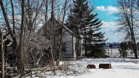 Photo from The neighborg