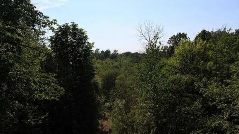 Blue Ghost June 2016 - Blue-Ghost-Tunnel--Merritton89.jpg