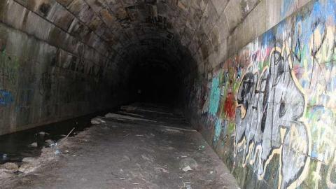 Blue Ghost June 2016 - Blue-Ghost-Tunnel--Merritton97.jpg