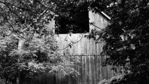 My Tour - Craigleith-Farmhouse-and-Barn53.jpg