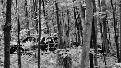 My Tour - Craigleith-Farmhouse-and-Barn55.jpg