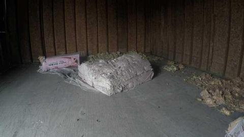 ABC lumber 2016 (Great spot) - ABC-Lumber34.jpg