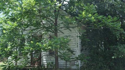 June 30th, 2016  - DSC_5728.jpg