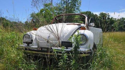 June 30th, 2016  - DSC_5749.jpg