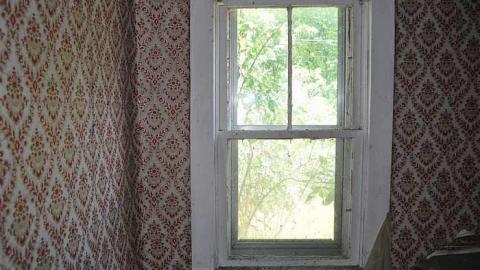 June 30th, 2016  - DSC_5783.jpg