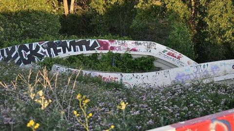 June 28, 2016 - Wet-And-Wild-Waterpark342.jpg