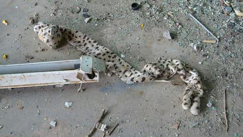 June 2016 - Garage-Across-from-Camp-3032.jpg