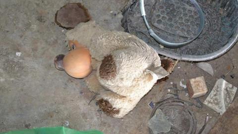 June 2016 - Garage-Across-from-Camp-3038.jpg