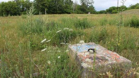 Photo from July 2016