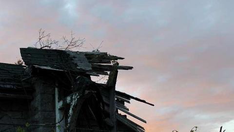 July 2016 - Lemieux-Island49.jpg