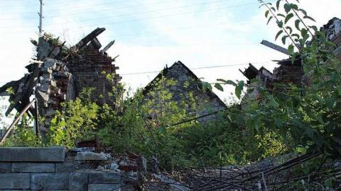 July 2016 - Lemieux-Island52.jpg