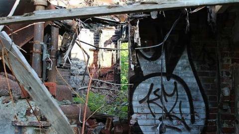 July 2016 - Lemieux-Island46.jpg