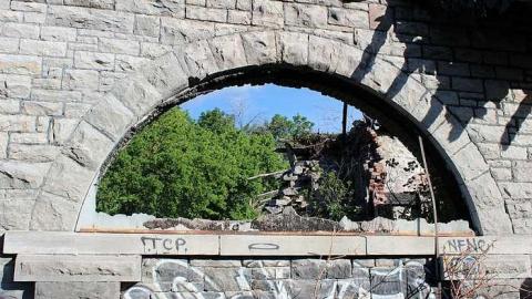 July 2016 - Lemieux-Island54.jpg