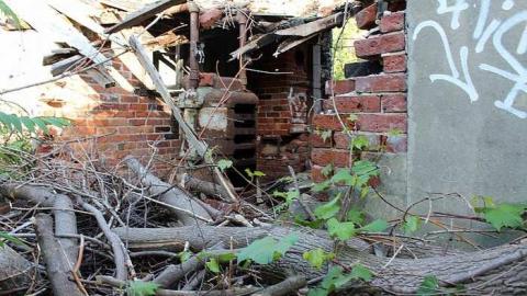 July 2016 - Lemieux-Island47.jpg