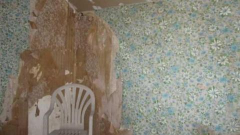 Westerchester House - IMG_3258.jpg